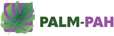 PALM-PAH